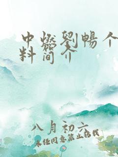 中燃刘畅个人资料简介