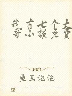 我有七个大佬哥哥小说免费阅读txt