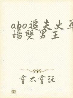 abo追夫火葬场双男主