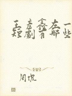 王彦鑫左一演的短剧有哪些