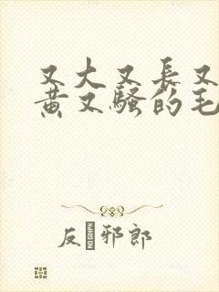 又大又长又粗又黄又骚的毛片