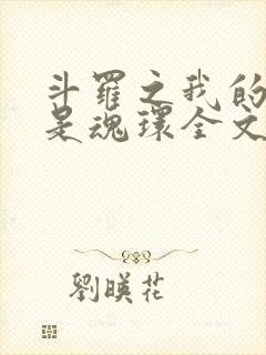 斗罗之我的武魂是魂环全文