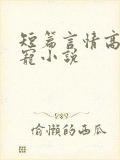 短篇言情高能甜宠小说