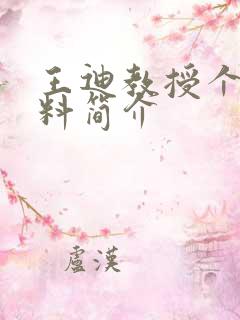 王迪教授个人资料简介