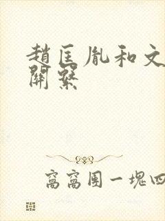 赵匡胤和文家的关系