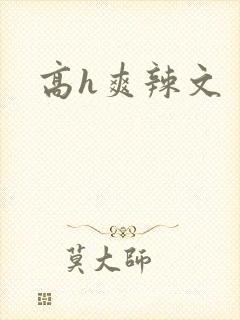 高h爽辣文