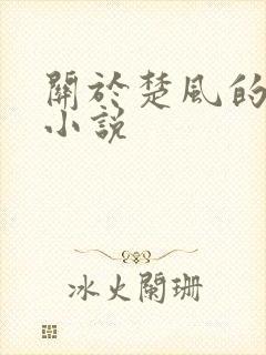 关于楚风的玄幻小说