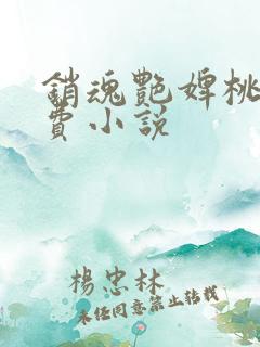 销魂艳婢桃儿免费小说