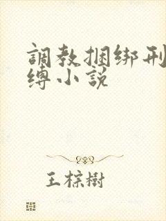 调教捆绑刑具束缚小说