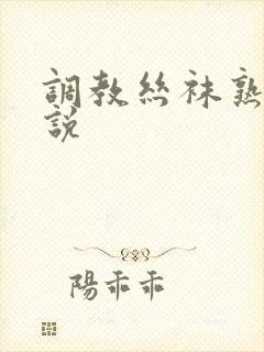 调教丝袜熟妇小说