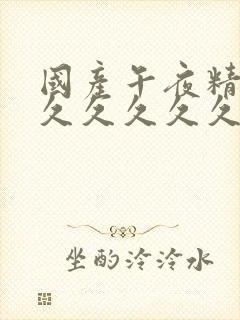 国产午夜精品久久久久久久久