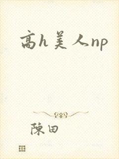 高h美人np