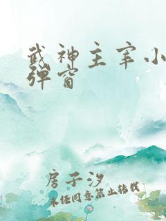 武神主宰小说无弹窗