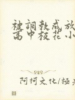 被调教成放荡的高中校花小说