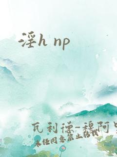 淫h np
