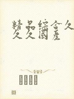 精品综合久久久久久国产