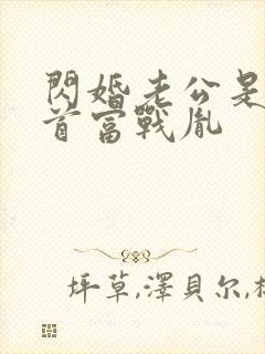 闪婚老公是千亿首富战胤