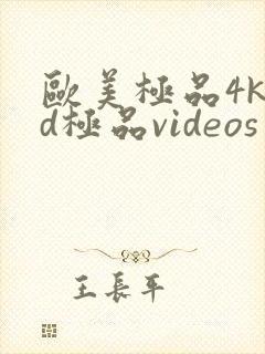 欧美极品4khd极品videos