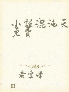 小说混沌天帝诀免费