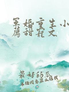 军婚重生小说推荐甜宠文