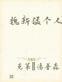 魏新猛个人简介