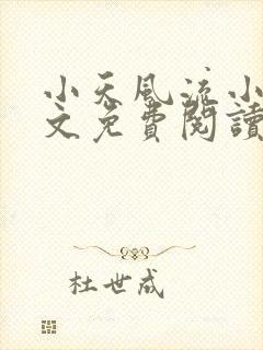 小天风流小说全文免费阅读无弹窗