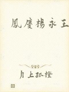 凤庆杨永王简介