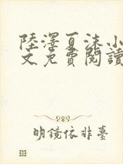 陆泽夏沫小说全文免费阅读最新章节