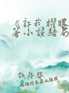 《许我耀眼》原著小说结局