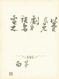 电视剧《以家人之名》免费全集在线