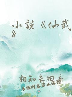 小说《仙武独尊》