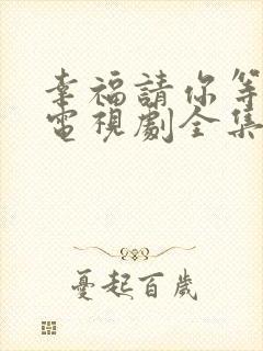 幸福请你等等我电视剧全集免费观看