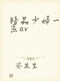 精品少妇一区二区av