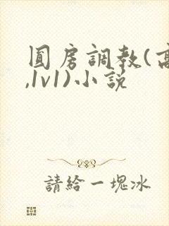圆房调教(高h,1v1)小说