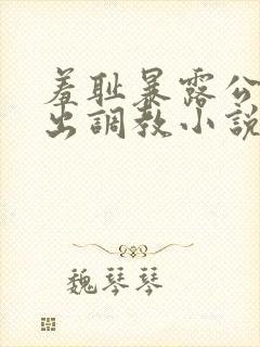 羞耻暴露公共露出调教小说