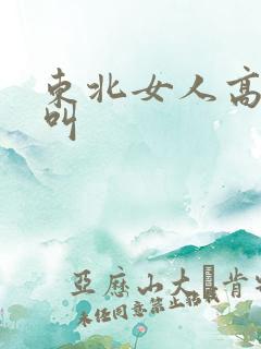 东北女人高潮大叫