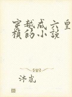 穿越成六皇子朱桢的小说