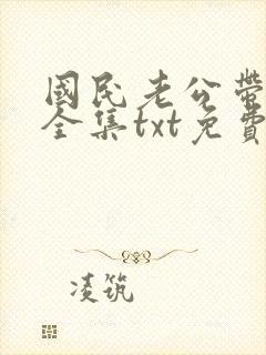 国民老公带回家全集txt免费下载