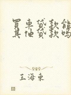 买车贷款能查出其他贷款吗