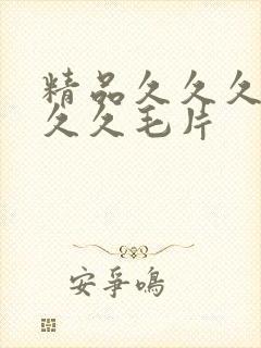 精品久久久久久久久毛片