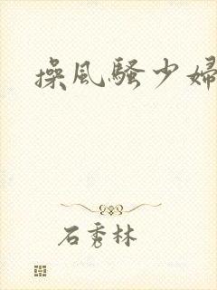 操风骚少妇爽文