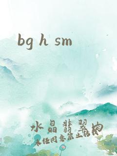 bg h sm