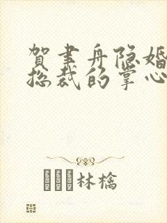 贺聿舟隐婚曝光总裁的掌心宠逃婚了