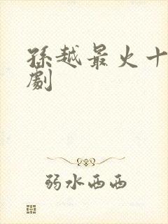 孙越最火十部短剧