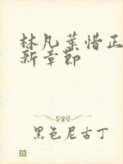 林凡叶惜正版最新章节