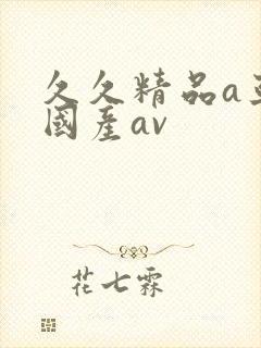 久久精品a亚洲国产av