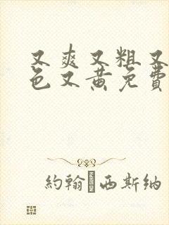 又爽又粗又猛又色又黄免费视频