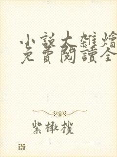 小说大杂烩目录免费阅读全文