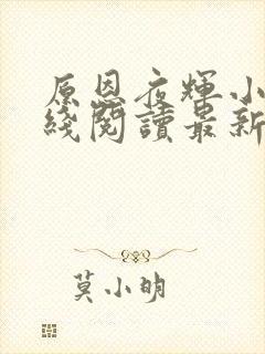 原恩夜辉小说在线阅读最新章节