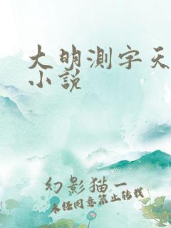 大明测字天师 小说